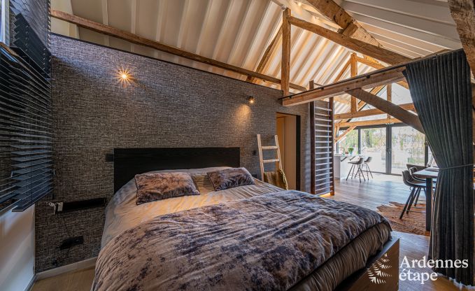 Vakantiehuis in Frasnes-lez-Anvaing voor 20/22 personen in de Ardennen