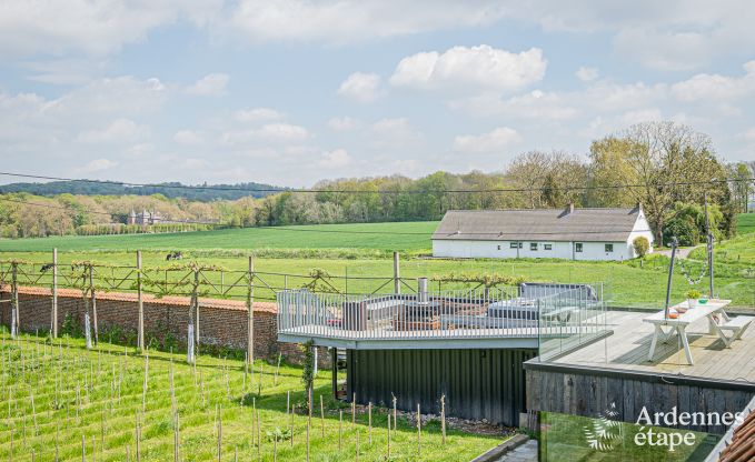 Vakantiehuis in Frasnes-lez-Anvaing voor 20/22 personen in de Ardennen