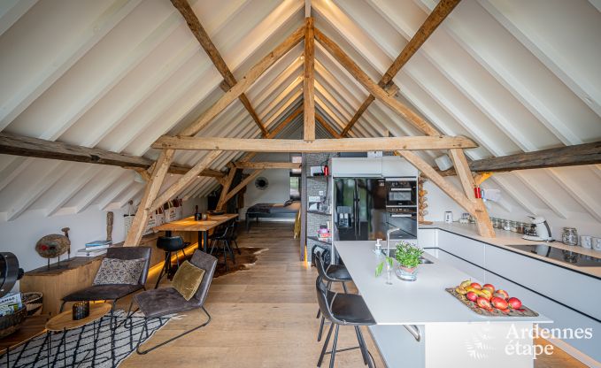 Vakantiehuis in Frasnes-lez-Anvaing voor 20/22 personen in de Ardennen