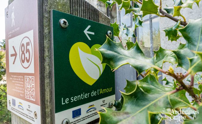 Vakantiehuis in Frasnes-lez-Anvaing voor 20/22 personen in de Ardennen