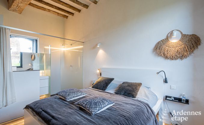 Vakantiehuis in Frasnes-lez-Anvaing voor 20/22 personen in de Ardennen