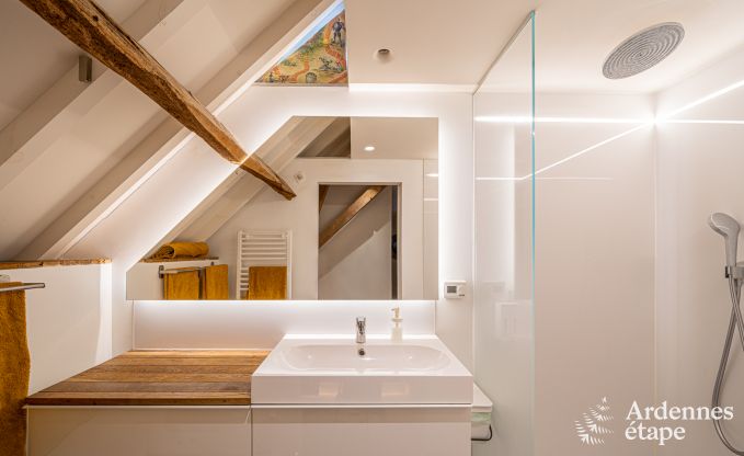 Vakantiehuis in Frasnes-lez-Anvaing voor 20/22 personen in de Ardennen