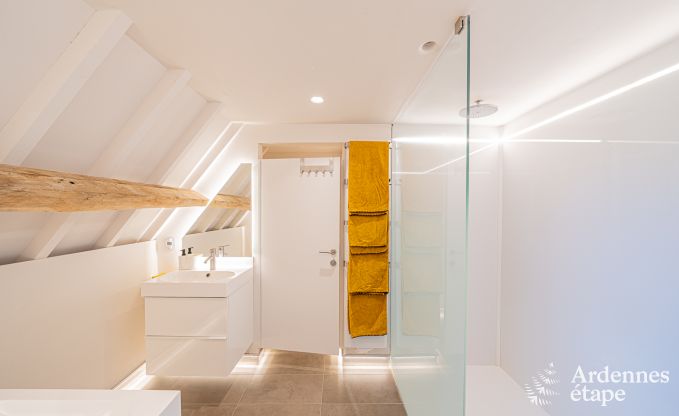 Vakantiehuis in Frasnes-lez-Anvaing voor 16/17 personen