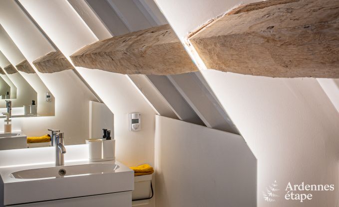 Vakantiehuis in Frasnes-lez-Anvaing voor 16/17 personen