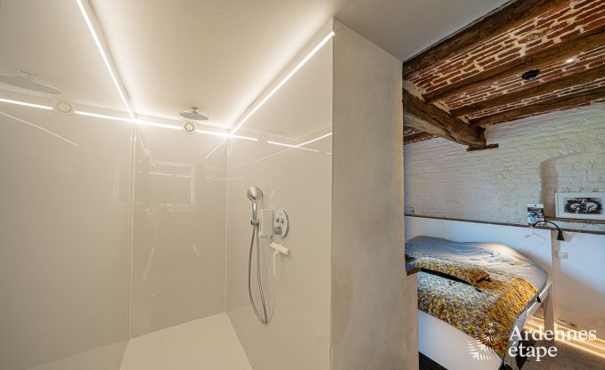 Vakantiehuis in Frasnes-lez-Anvaing voor 16/17 personen