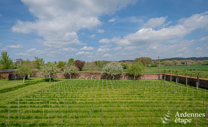 Vakantiehuis in Frasnes-lez-Anvaing voor 16/17 personen