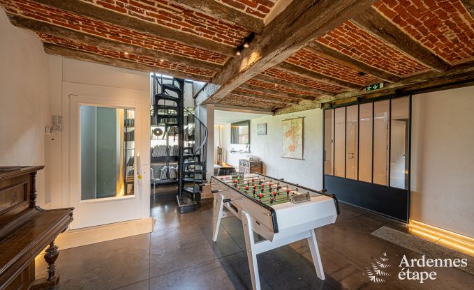 Vakantiehuis in Frasnes-lez-Anvaing voor 16/17 personen