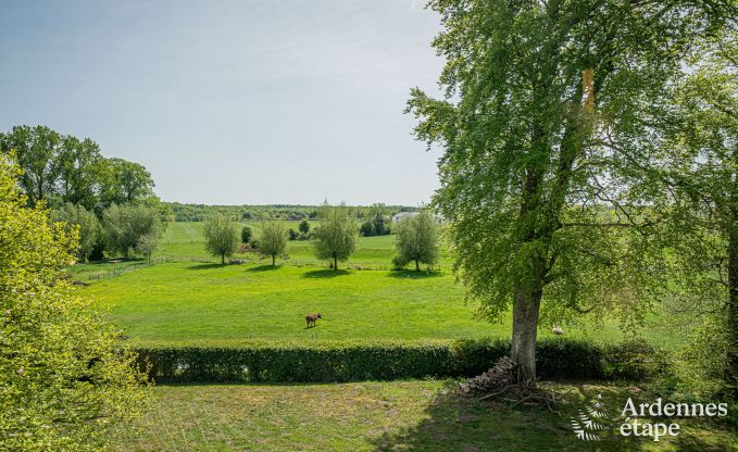 Kasteel in Froidchapelle voor 19 personen met 5 tweepersoonskamers met eigen badkamer