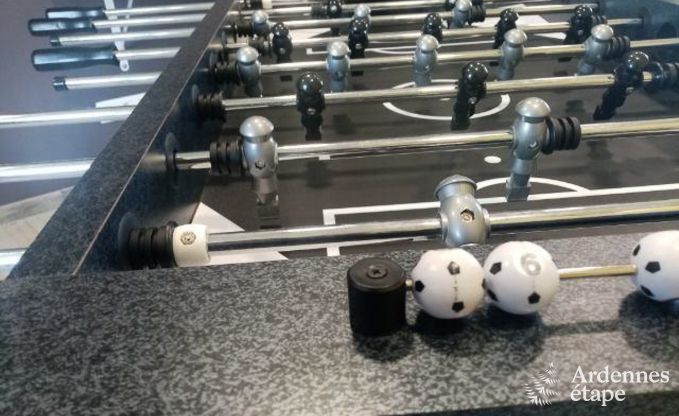 Vakantiehuis in Froidchapelle voor 8 personen in de Ardennen