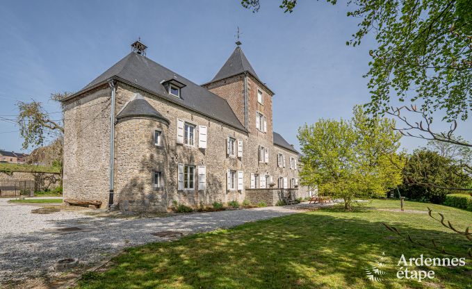 Kasteel in Froidchapelle voor 19 personen met 5 tweepersoonskamers met eigen badkamer
