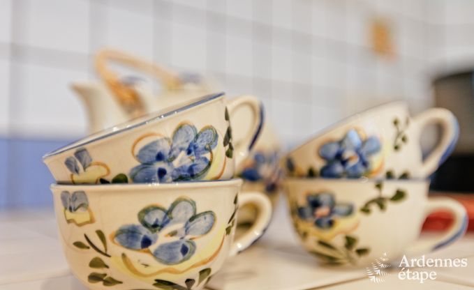 Vakantiehuis in Froidchapelle voor 5 personen in de Ardennen