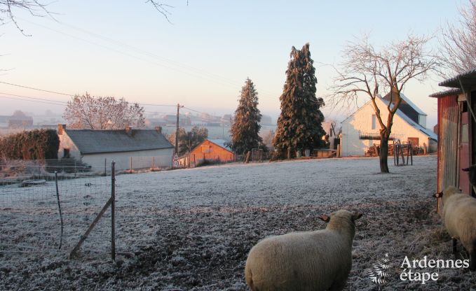 Vakantiehuis in Froidchapelle voor 4/6 personen in de Ardennen
