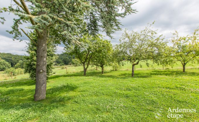 Vakantiehuis in de Ardennen voor 14 p., Lac de l'Eau d'Heure