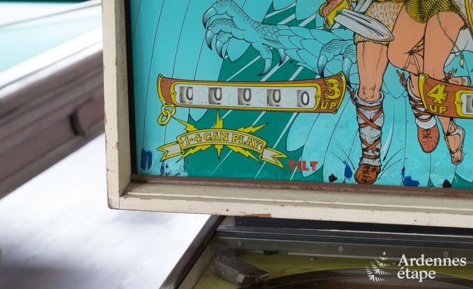 Vakantiehuis in de Ardennen voor 14 p., Lac de l'Eau d'Heure