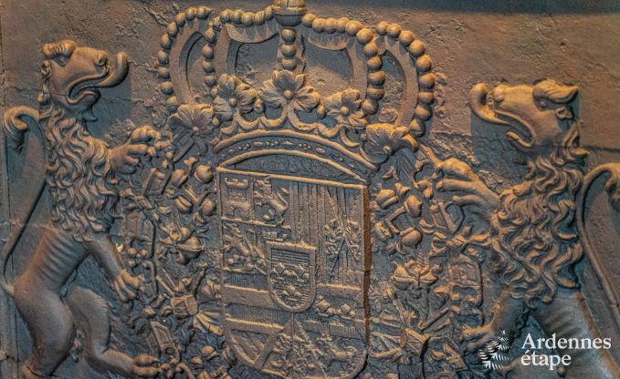 Prachtig luxe kasteel in Gedinne, Ardennen