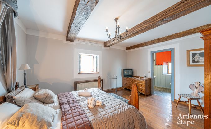 Prachtig luxe kasteel in Gedinne, Ardennen