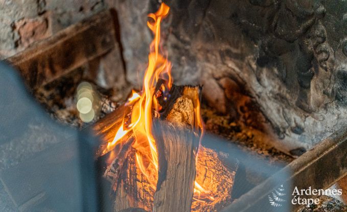 Prachtig luxe kasteel in Gedinne, Ardennen