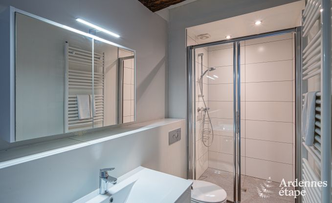 Prachtig luxe kasteel in Gedinne, Ardennen