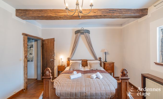 Prachtig luxe kasteel in Gedinne, Ardennen