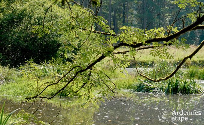 Luxe villa in Gedinne voor 18 personen in de Ardennen
