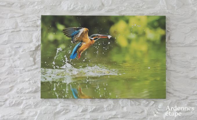 Luxe villa in Gedinne voor 18 personen in de Ardennen