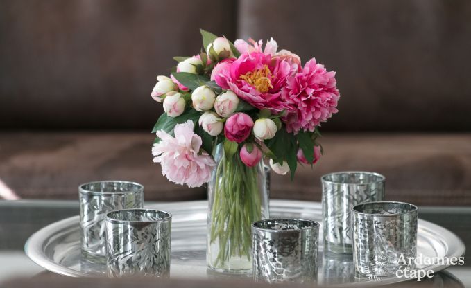 Luxe villa in Gedinne voor 18 personen in de Ardennen