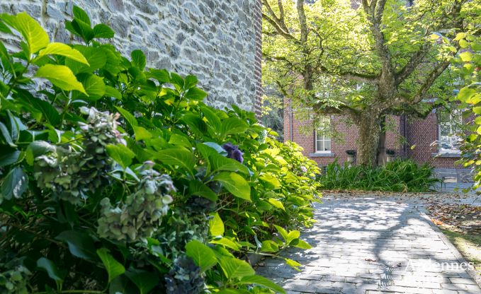 Luxe villa in Gedinne voor 18 personen in de Ardennen