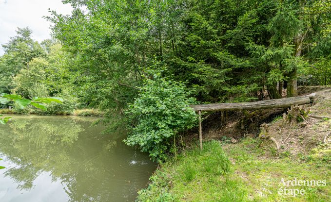 Uitzonderlijke vakantievilla voor 14 personen in Gedinne, Ardennen
