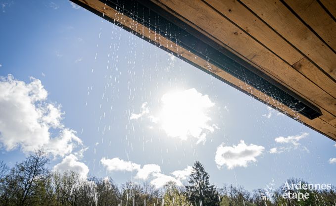 Uitzonderlijke vakantievilla voor 14 personen in Gedinne, Ardennen
