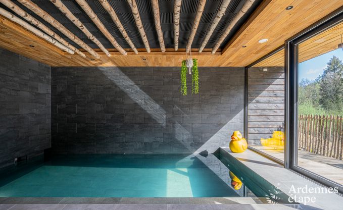 Uitzonderlijke vakantievilla voor 14 personen in Gedinne, Ardennen