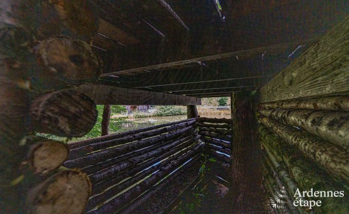 Uitzonderlijke vakantievilla voor 14 personen in Gedinne, Ardennen