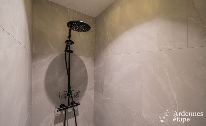 Uitzonderlijke vakantievilla voor 14 personen in Gedinne, Ardennen