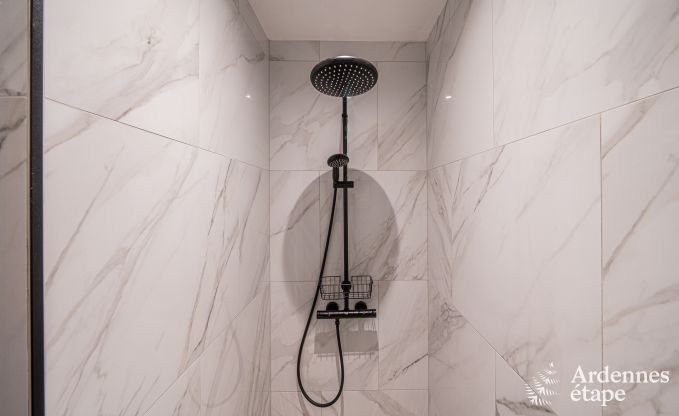 Uitzonderlijke vakantievilla voor 14 personen in Gedinne, Ardennen