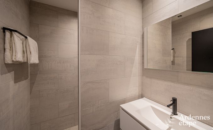 Uitzonderlijke vakantievilla voor 14 personen in Gedinne, Ardennen