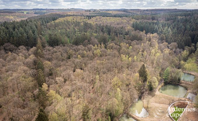 Uitzonderlijke vakantievilla voor 14 personen in Gedinne, Ardennen