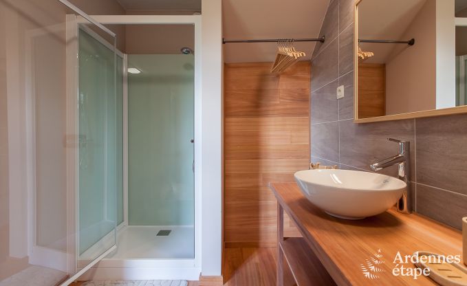 Zeer mooie vakantiewoning in Gedinne voor 20 personen in de Ardennen