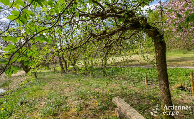 Vakantiehuis in Gedinne voor 2/4 personen in de Ardennen