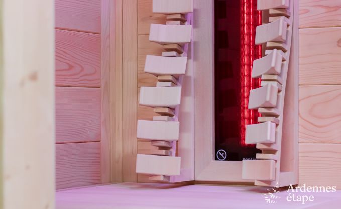 Vakantiehuis in Gedinne voor 13 personen in de Ardennen