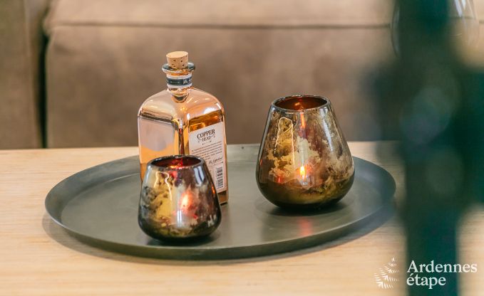 Luxe villa in Gedinne voor 14 personen in de Ardennen