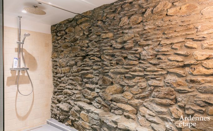 Luxe villa in Gedinne voor 14 personen in de Ardennen