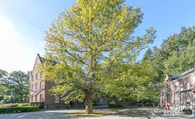 Luxe villa in Gedinne voor 18 personen in de Ardennen