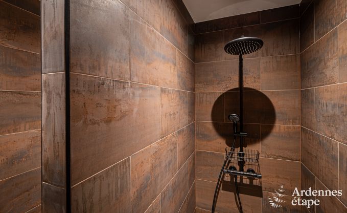 Uitzonderlijke vakantievilla voor 14 personen in Gedinne, Ardennen