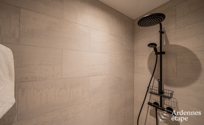 Uitzonderlijke vakantievilla voor 14 personen in Gedinne, Ardennen