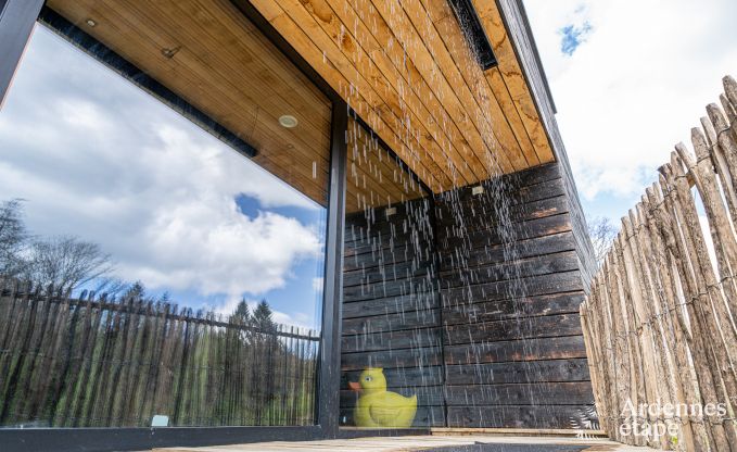 Uitzonderlijke vakantievilla voor 14 personen in Gedinne, Ardennen