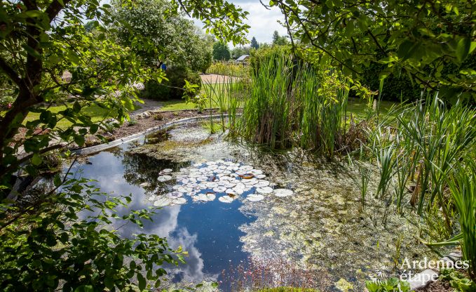 Zeer mooie vakantiewoning in Gedinne voor 20 personen in de Ardennen