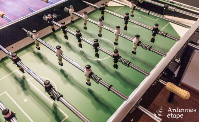 Zeer mooie vakantiewoning in Gedinne voor 20 personen in de Ardennen