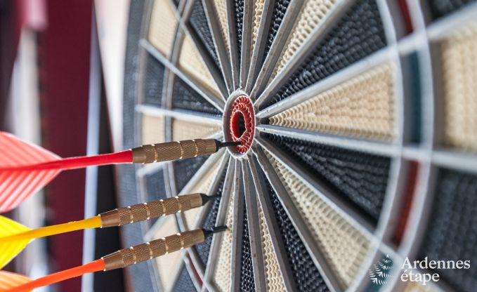 Zeer mooie vakantiewoning in Gedinne voor 20 personen in de Ardennen