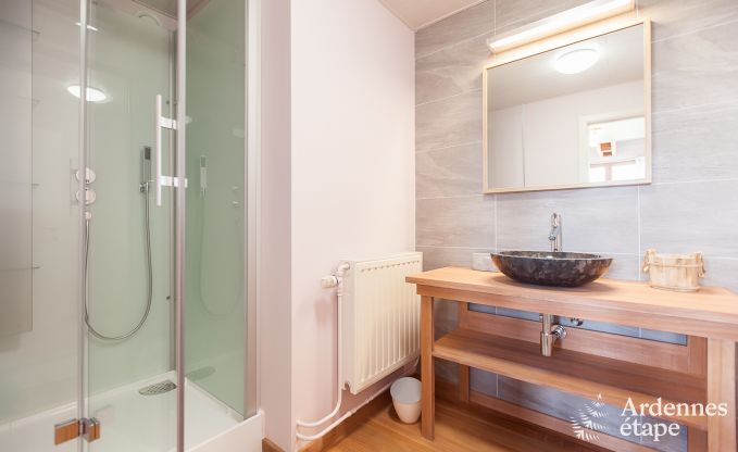 Zeer mooie vakantiewoning in Gedinne voor 20 personen in de Ardennen