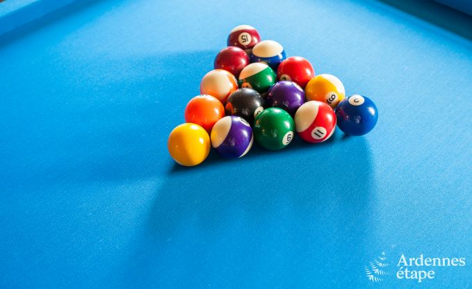 Zeer mooie vakantiewoning in Gedinne voor 20 personen in de Ardennen