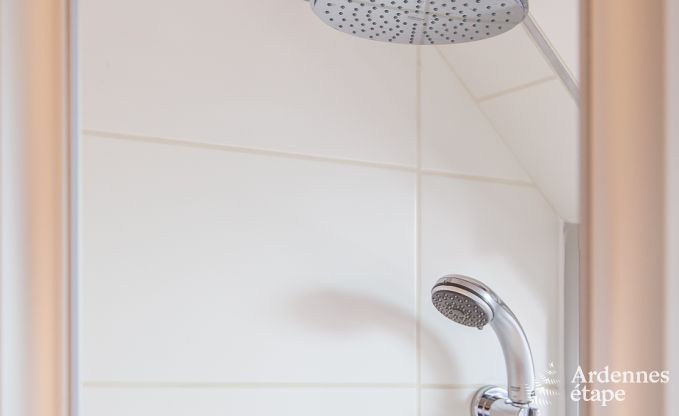 Zeer mooie vakantiewoning in Gedinne voor 20 personen in de Ardennen